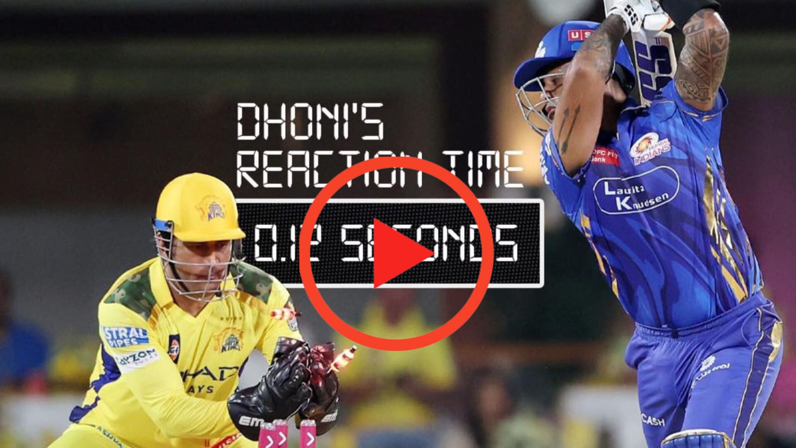 MS Dhoni