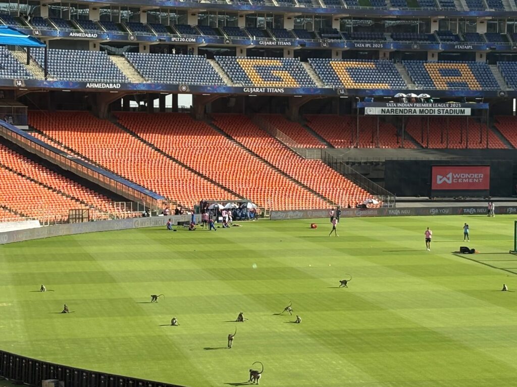 Top 5 Best Cricket Stadiums in India