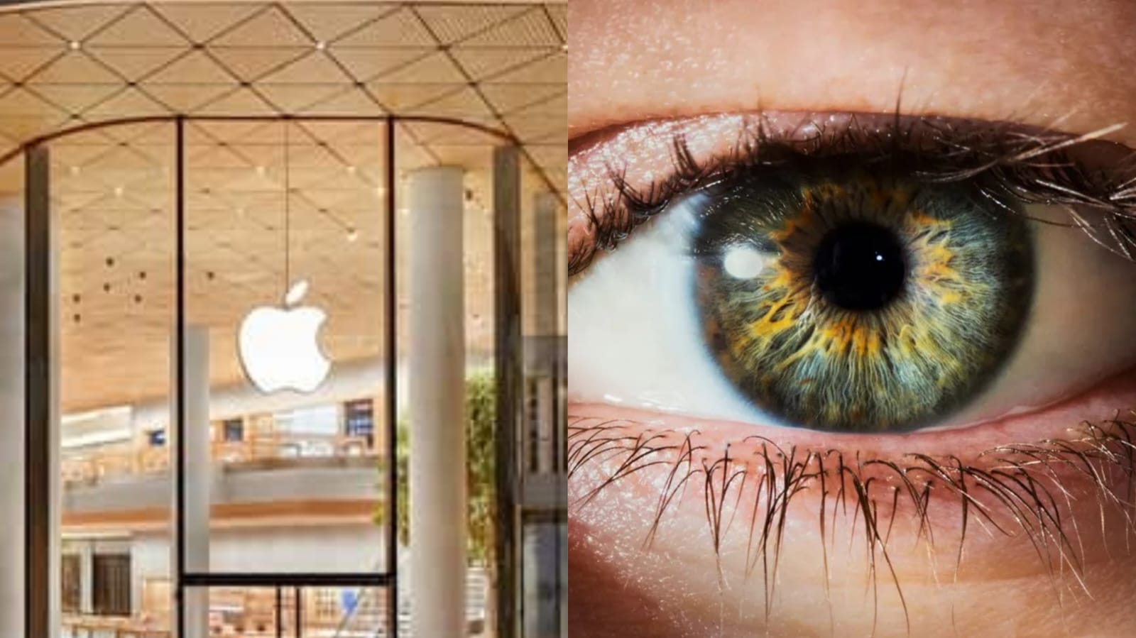 Apple’s Human-Eye Camera vs Xiaomi 15 Ultra